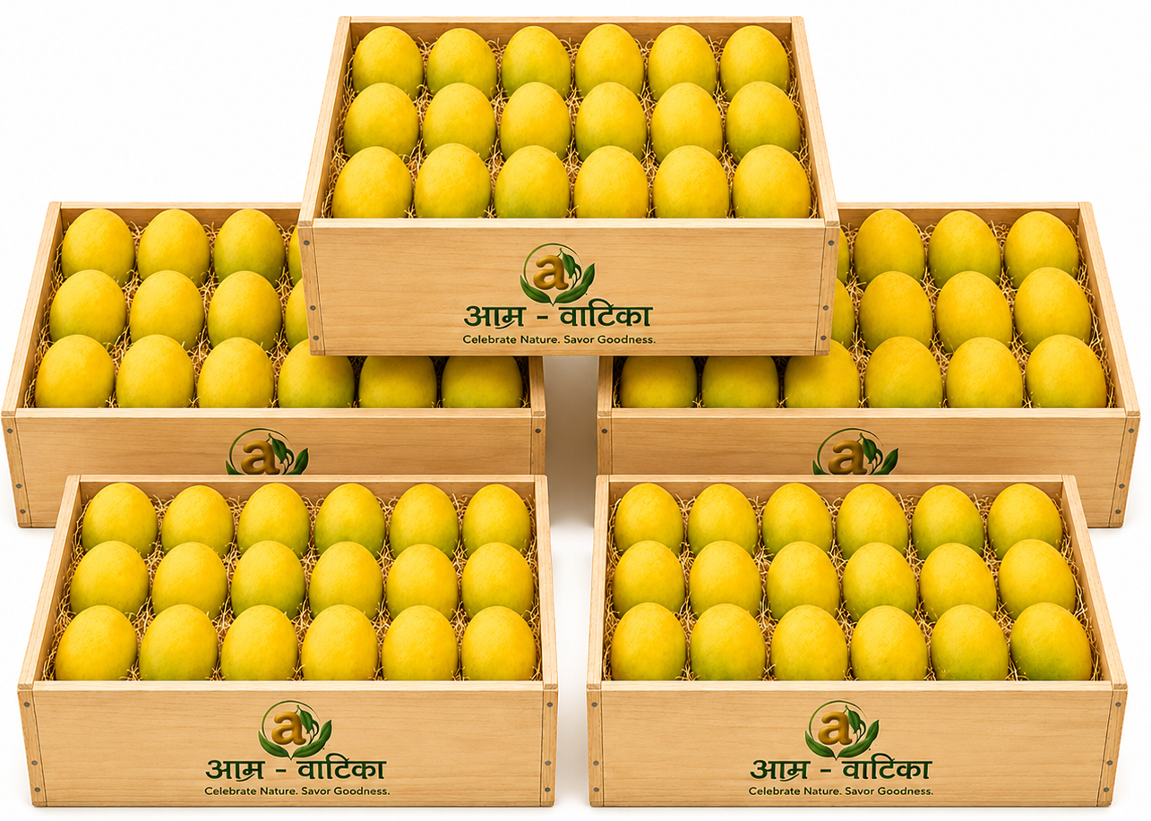 Multiple crates of fresh mangoes — Bulk and Bhandara orders