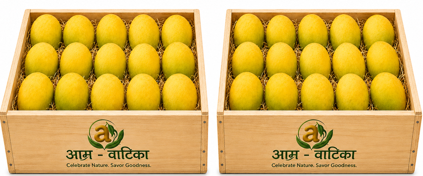 Two crates of fresh mangoes — Family Basket