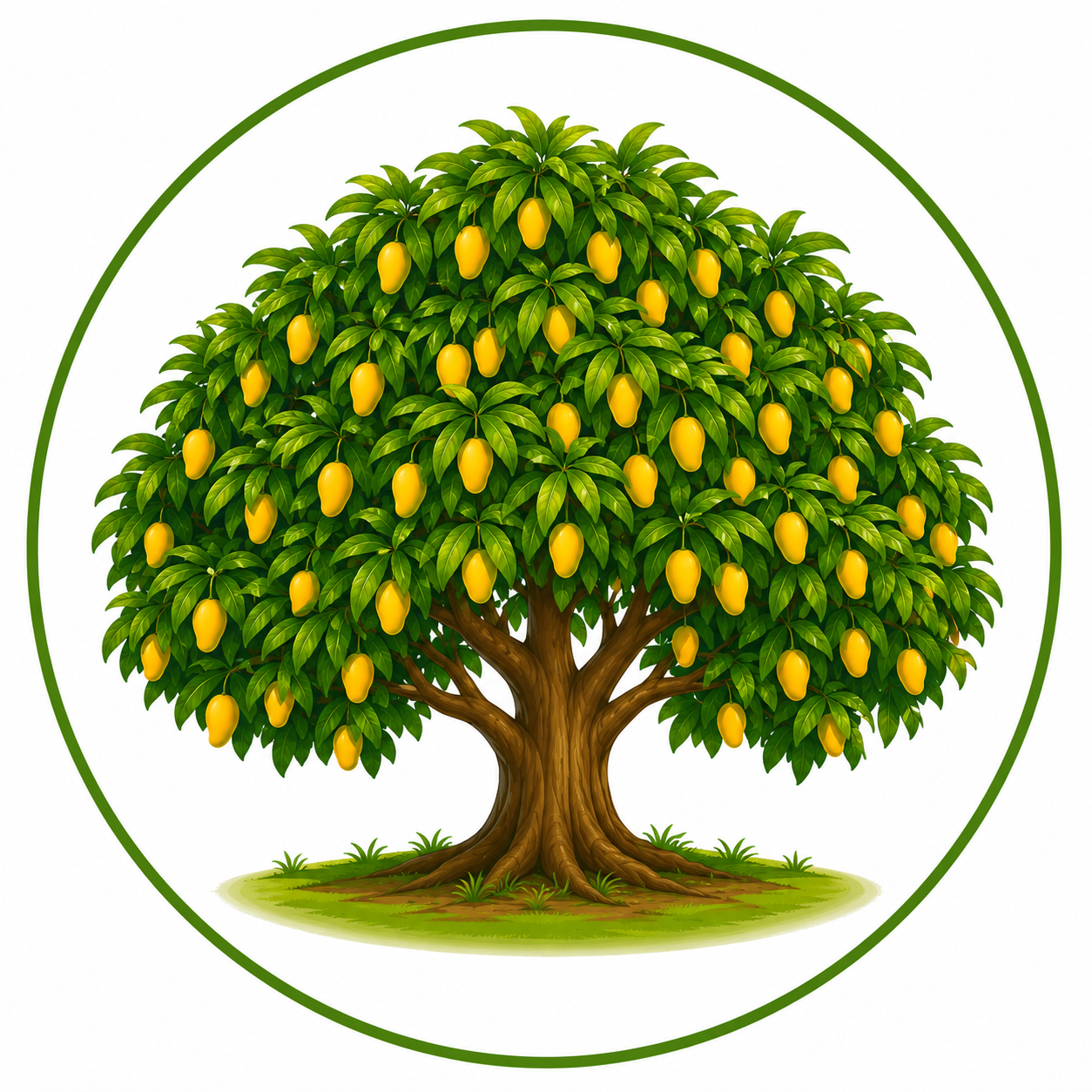 Large mango tree illustration
