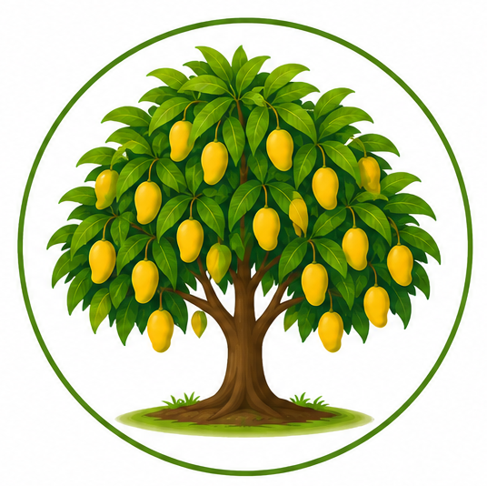 Medium mango tree illustration