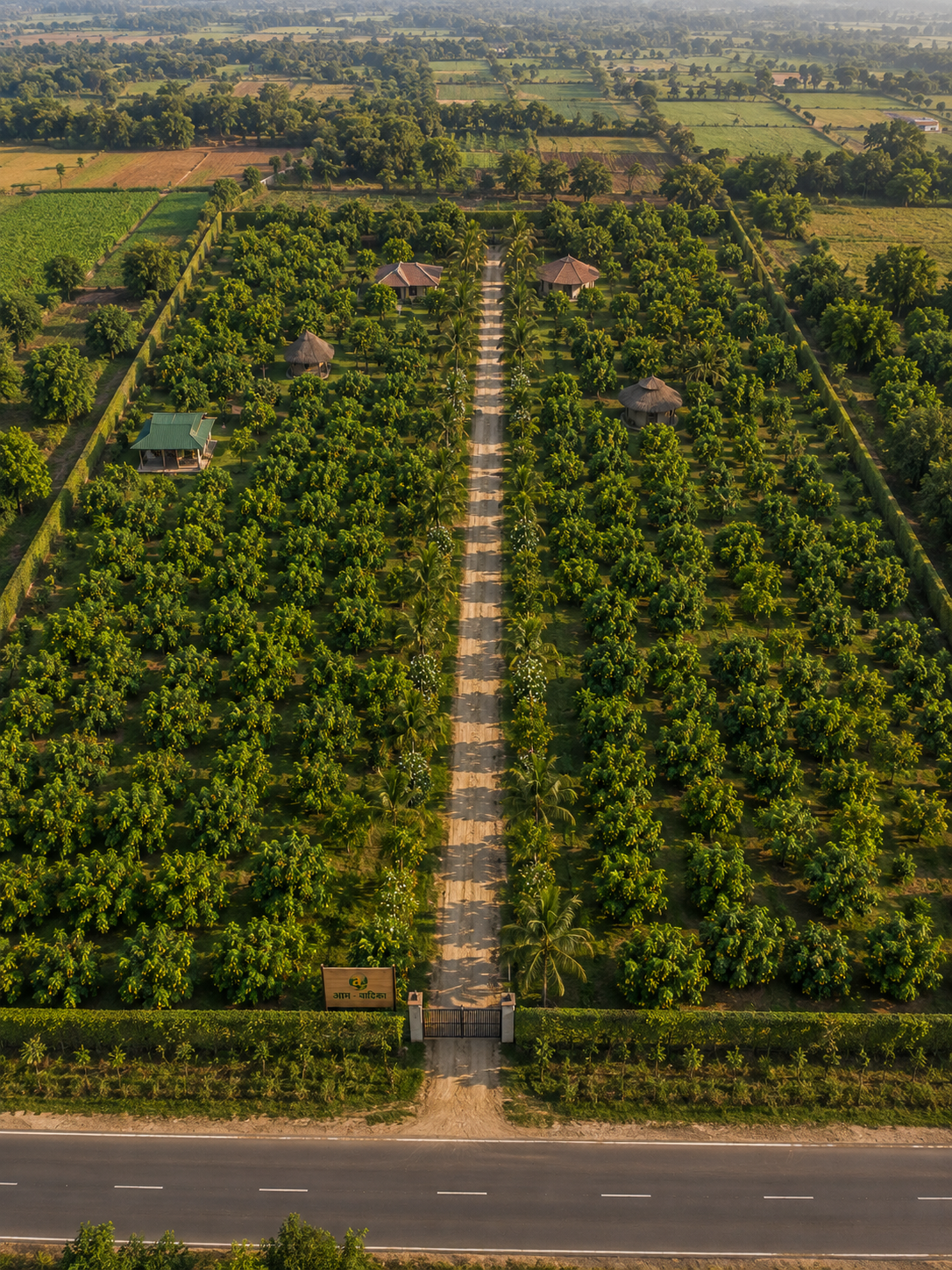 Aerial view of the Aamr Vaatika mango orchard near Delhi NCR